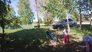 Гуляем