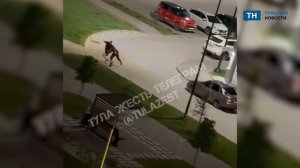 Мужчина повредил автомобили и напал на девушку в Туле