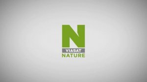 Смена логотипа (Viasat Nature HD (CEE), 20.05.2026)
