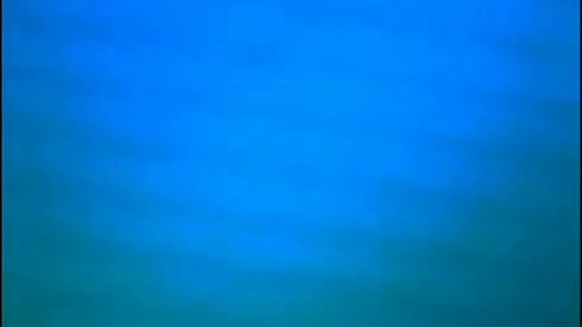 RVA: Gedeliks_2011.avi