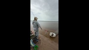 Новый проект