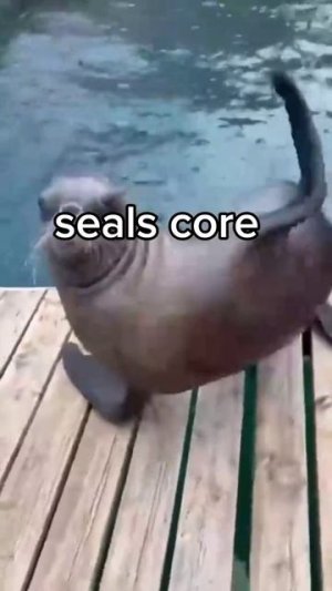 не моё