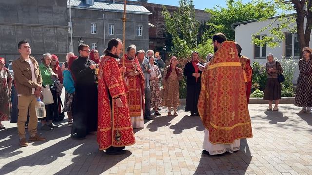 Крестный ход  в Престольный праздник  в честь преп. Иова Почаевского