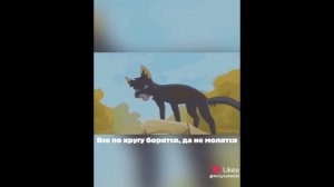 Подборка моих видео из моего  лайка. 2 часть!