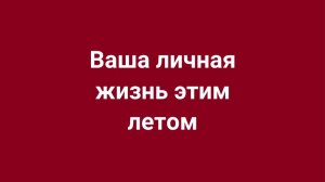 Личная жизнь на ближайшие месяцы