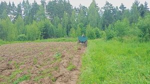 Подкормочное поле VID20250612100509