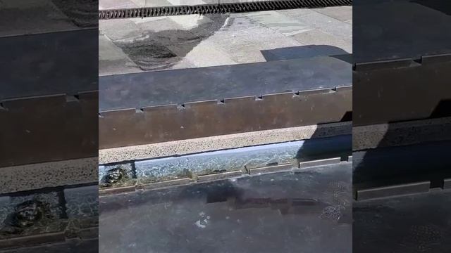 шлюз 9 Икша