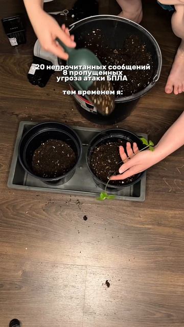 Пока сажаю огурцы, меня больше ничего не интересует 🥒   Арт на ВБ удобрение: #WW329681