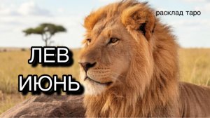 ЛЕВ таро прогноз на июнь 2026 [расклад таро] [гадание онлайн]