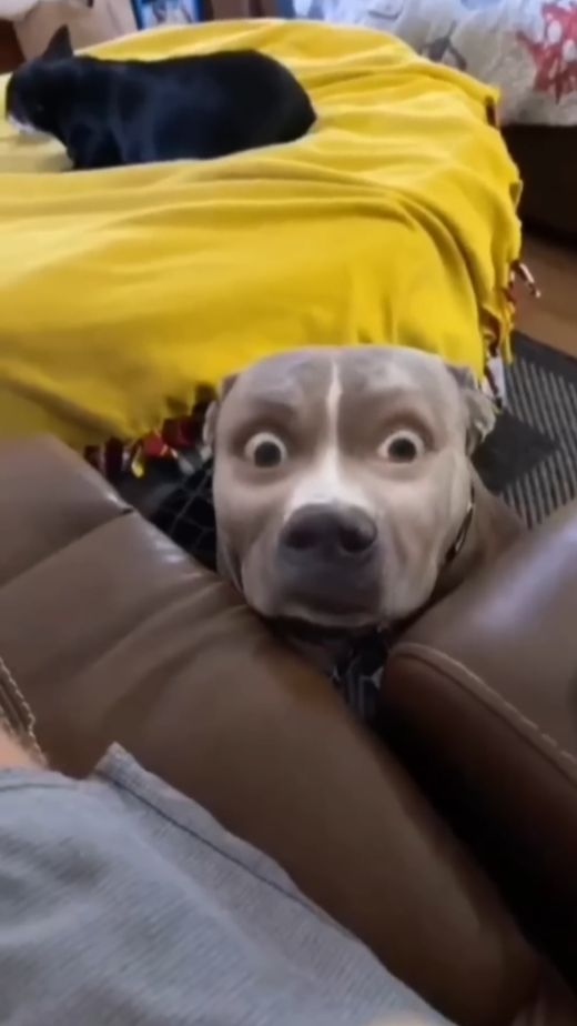 А вы так умеете?