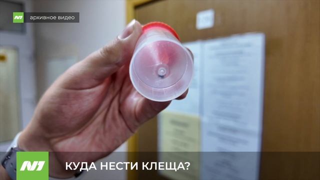 Куда отнести клеща на исследование в Нижневартовске