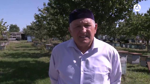 20 мая - Всемирный день пчёл