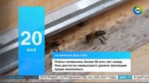 Уход на профилактику (Мир 24, 20.05.2026)