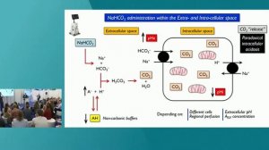 WHEN TO GIVE BICARBONATE IN METABOLIC ACIDOSIS ISICEM 45 !!!