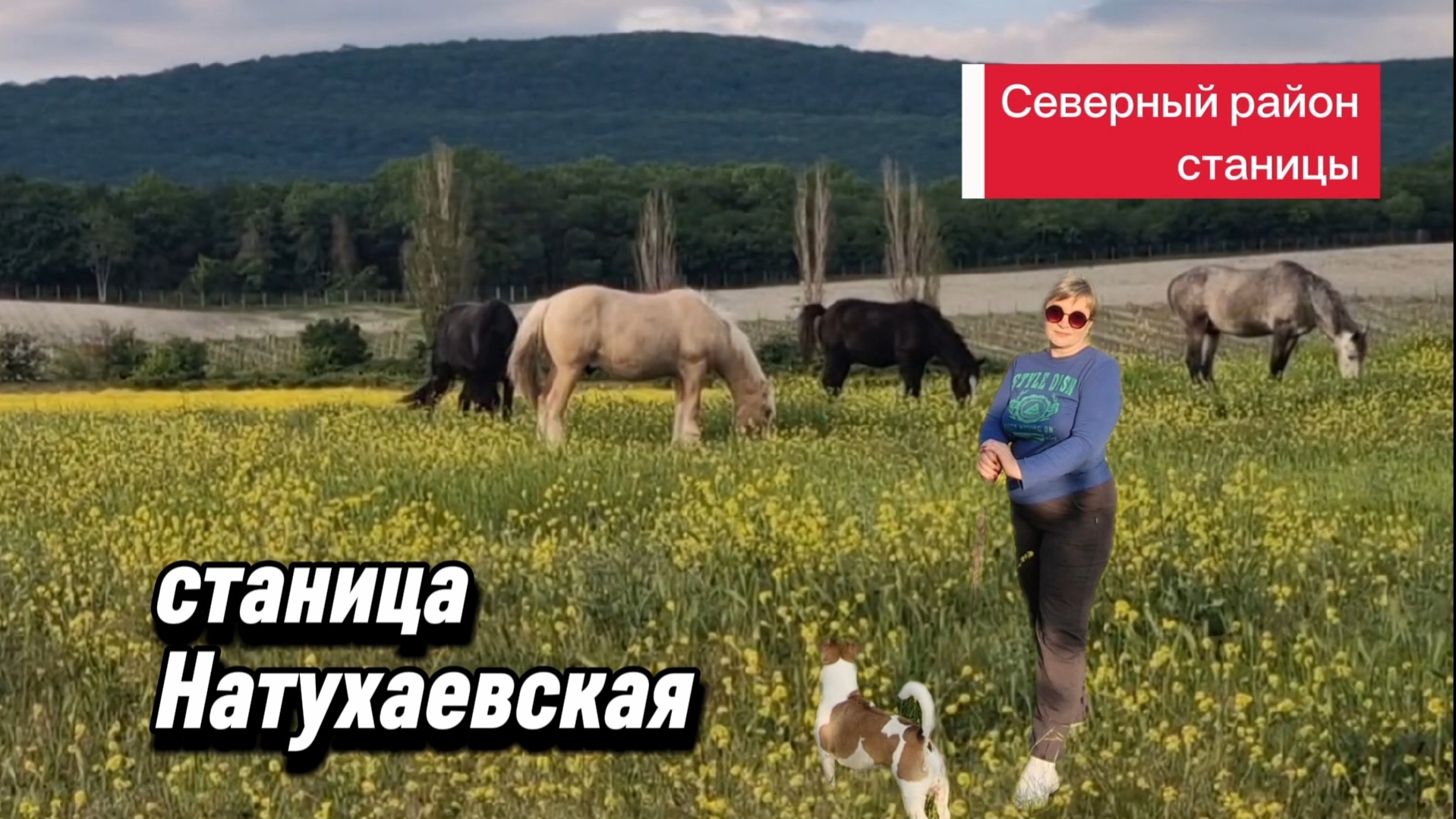 Натухаевская.Район птицефабрики