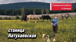 Натухаевская.Район птицефабрики