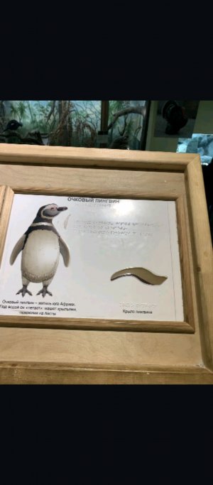 игра