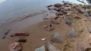 Рыбалка на Финском заливе. Отчёт за 18.05.2026. РЛЦ «Раскат». Плотва.