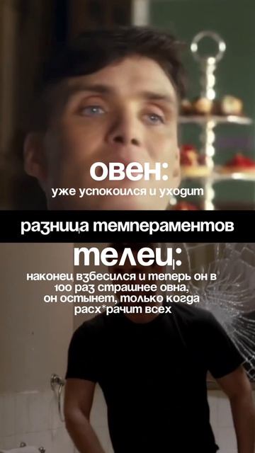 ОВЕН И ТЕЛЕЦ - довести можно любого, но Тельца попробуй останови…