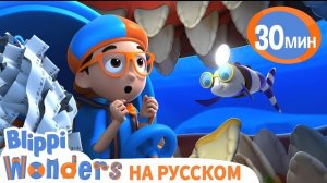 Сколько Зубов у Акулы? Обучающие мультики для детей. Blippi Russian