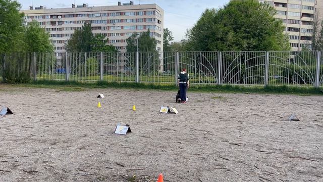 Кубок Панды по ралли обидиенс 2026 Безсонова Юлия и Чара