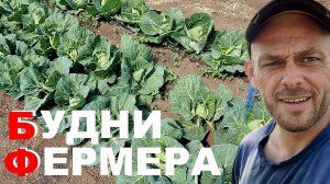 Огородные хлопоты и эпопея с забором на пол года.