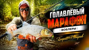 Топ убойных воблеров для малых рек! Голавль на каждой проводке!