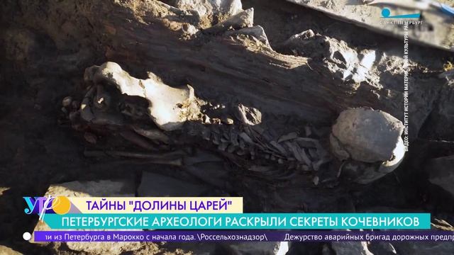 Тайны «Долины царей»: петербургские археологи раскрывают секреты кочевников