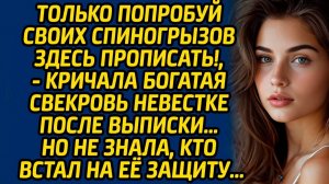 Истории из жизни | Только попробуй прописать здесь детей! | Аудио рассказ| Слушать истории