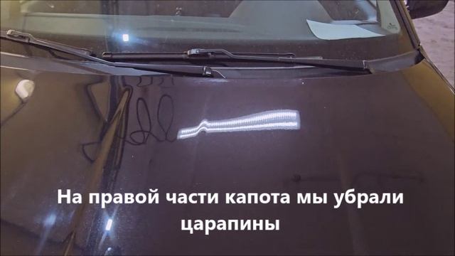 Тополиные почки на капоте: битва, которую многие проигрывают…