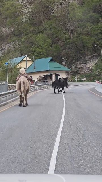 Дружба😍