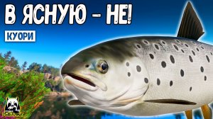 RF4 Они обожают плохую погоду #рр4