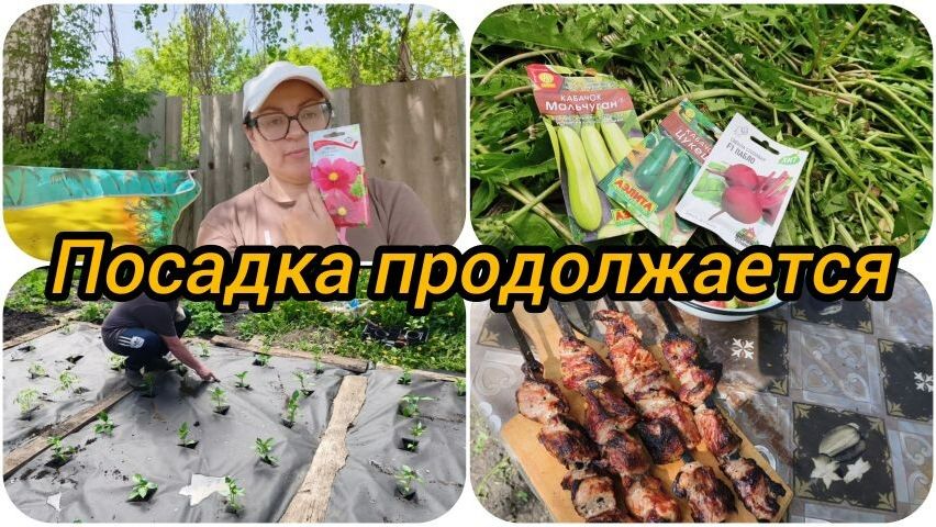 ДЕРЕВЕНСКИЕ ДЕЛА НЕ ЗАКАНЧИВАЮТСЯ, ЧТО УСПЕЛИ, ТО И СДЕЛАЛИ.😊👍