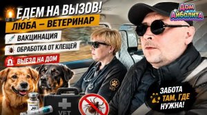 Едем на вызов | Дом Айболита