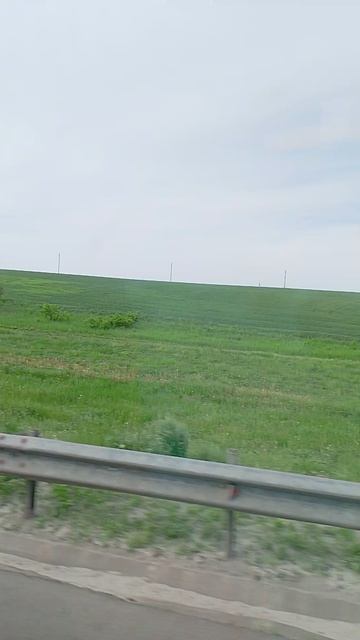 VID_20260520_082231
