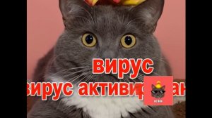Конец эфира НЕ ПОН 03.05.2014