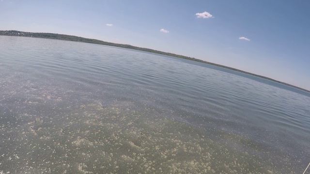 Гидрофойл, Плещеево, 19.05.2026