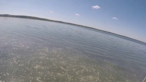 Гидрофойл, Плещеево, 19.05.2026