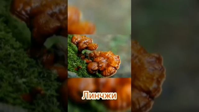 В чём сила? А сила в составе 📜 смотреть онлайн