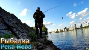 БЕРЕГА НЕВЫ МАЙ РЫБАЛКА ДОНКА ПОПЛАВОК ФИДЕР  ЭТО МЕСТО В ГОРОДЕ РЕШИЛ УТРОМ СЬЕЗДИТЬ ПОЛОВИТЬ