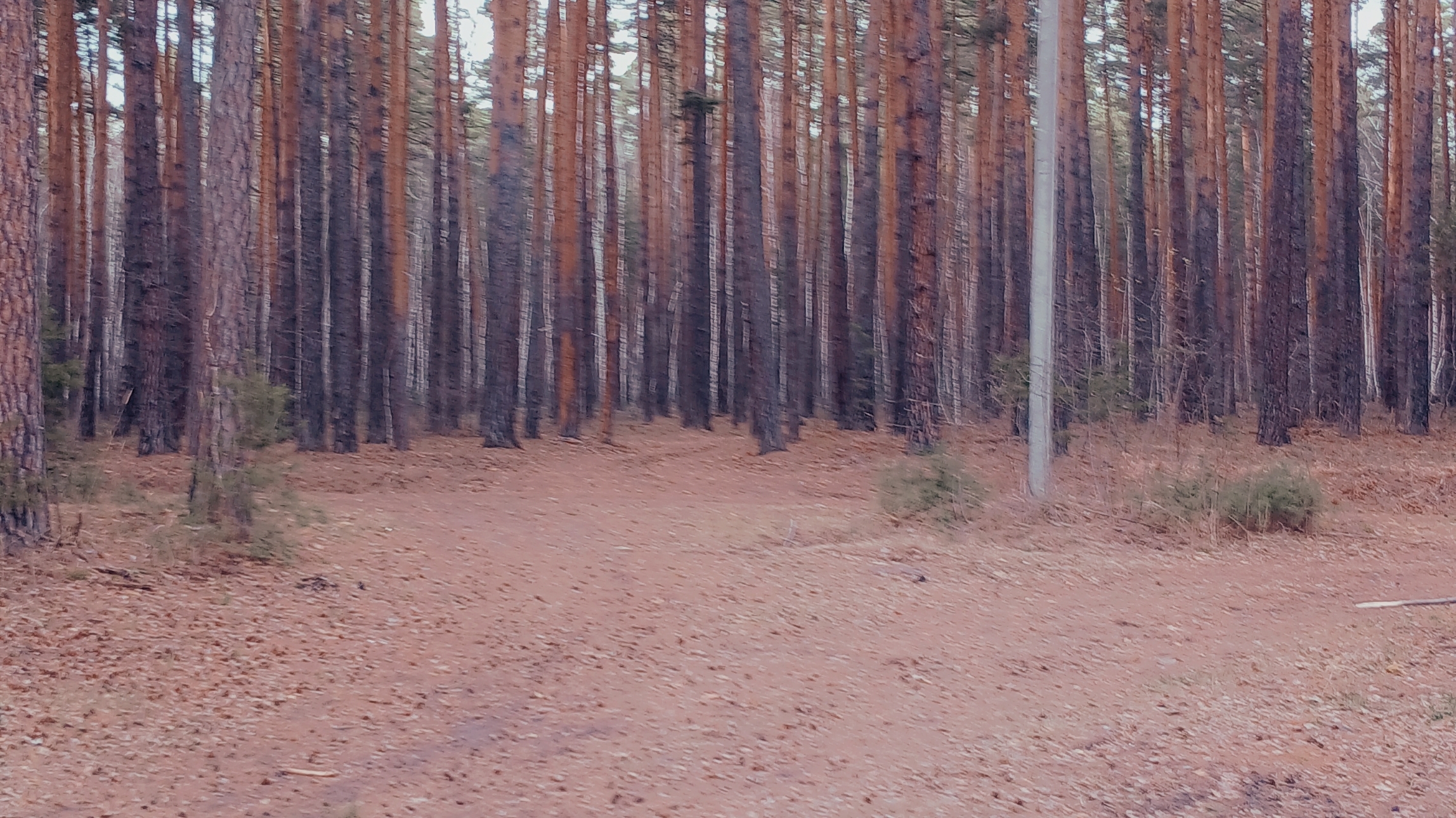 Ты так красива .Выходной вайб на природе .