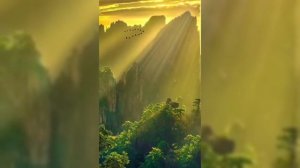 Красивая природа .Релакс.