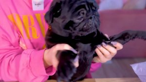 СКУПИЛА ВСЕ НА SHEIN🥺 *Мой Последний Заказ?* ОДЕЖДА,НИЖНЕЕ БЕЛЬЕ, АКСЕССУАРЫ ✌️