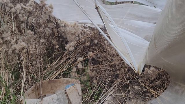 2 часть. Огород есть, но нельзя ничего посадить!