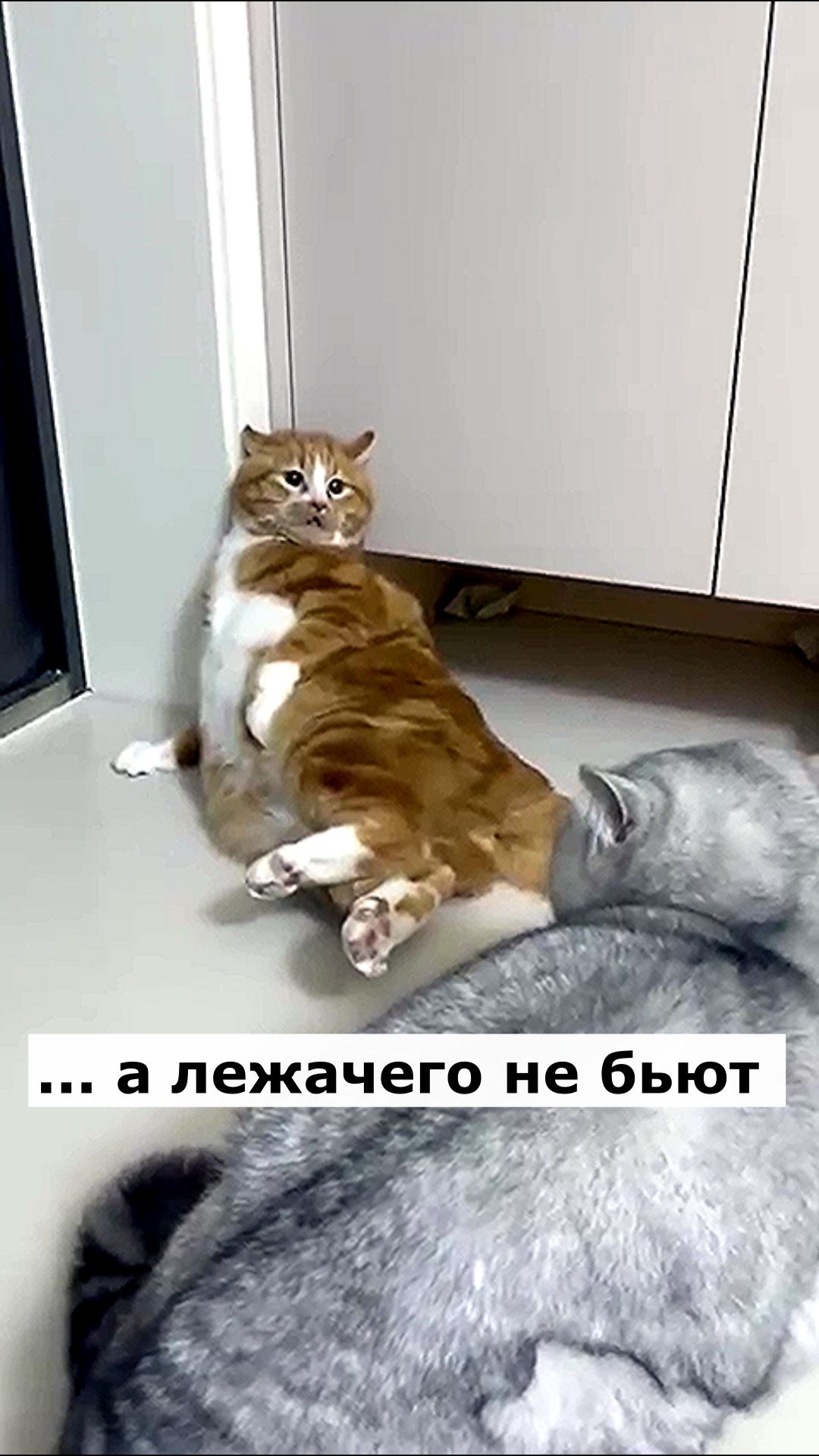 ✅АСТРАЛ - обучение - ЗАХОДИ ! Https://astrall.do.am/index/zakaz_videokursov/0-9