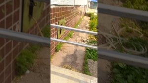 6ч гуляем по домофонам
