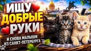Ищу добрые руки. И снова малыши из Санкт-Петербурга.