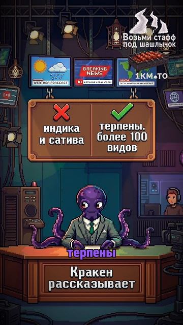 Самые красивые места России для путешествий – куда поехать летом