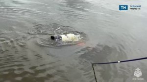 Водолазы проверили дно Оки в Алексинском районе Тульской области