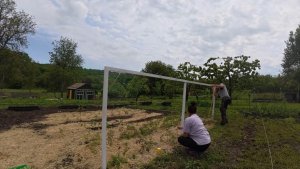 ЖИЗНЬ В ДЕРЕВНЕ БЕЗ ОТДЫХА/ПОСАДКИ, КУРЯТНИК И КУЧА РАБОТЫ